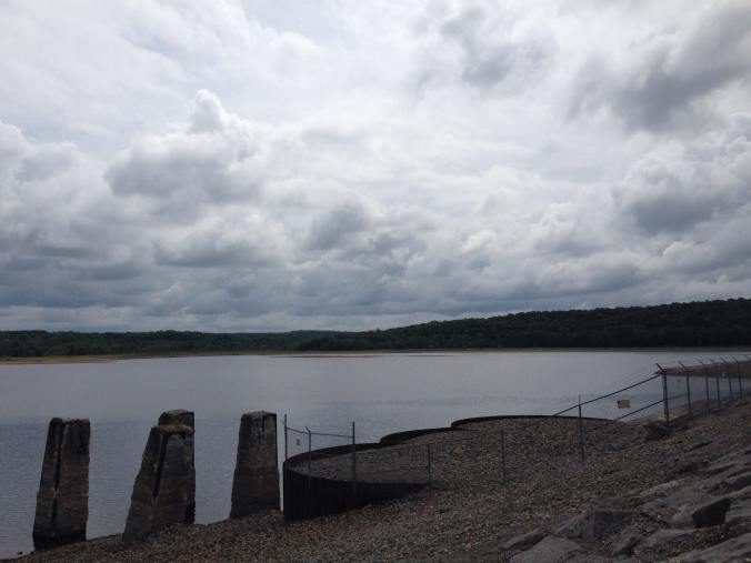 43433838_1403356719801924_1950446753371127808_n