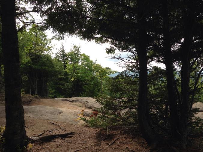 43487641_552179745239178_7411101098724818944_n